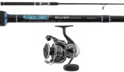TackleDirect TDSSJ63M / Daiwa BGMQ6000D-H BG MQ Spinning Combo